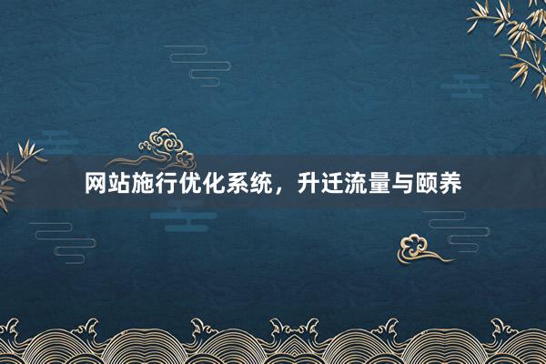 网站施行优化系统，升迁流量与颐养