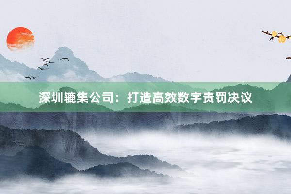 深圳辘集公司：打造高效数字责罚决议